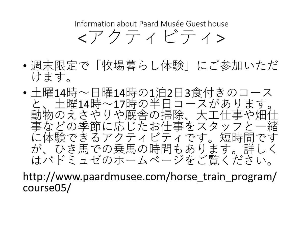 Paard Musee Guest House Nanae Exterior foto